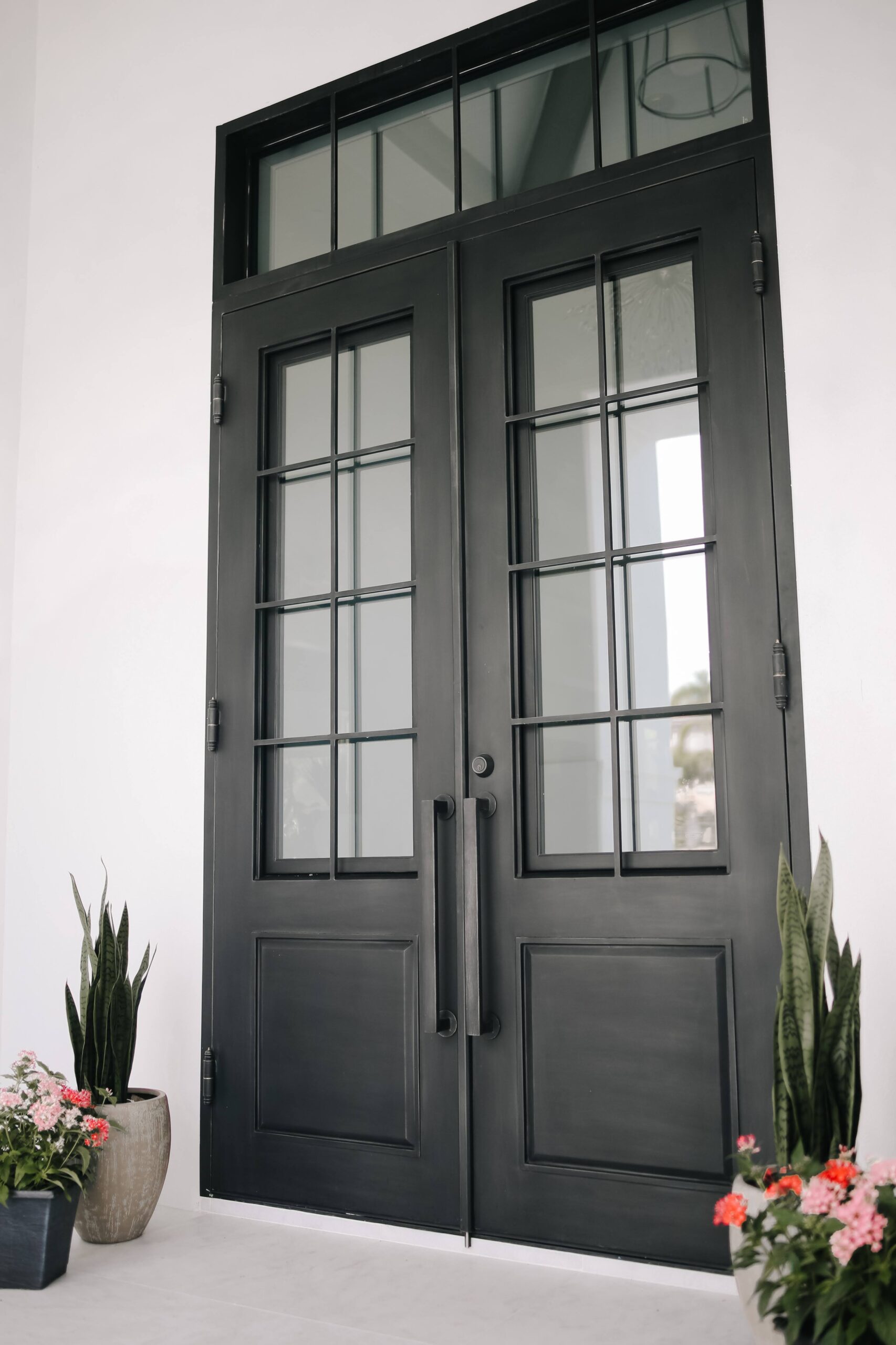 Clean Line French Door Style Iron Door